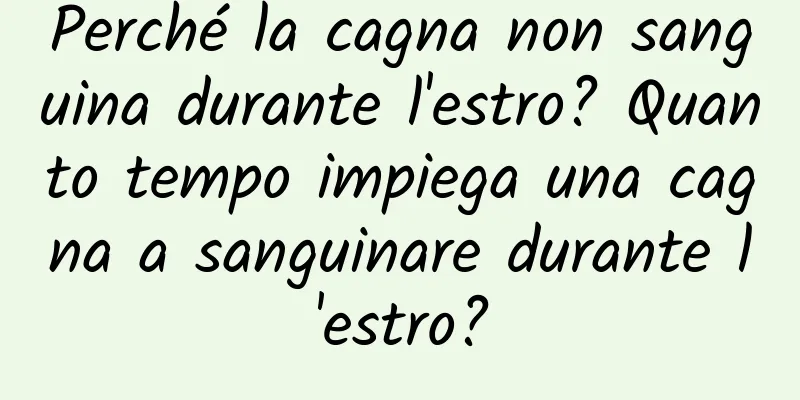 Perché la cagna non sanguina durante l'estro? Quanto tempo impiega una cagna a sanguinare durante l'estro?