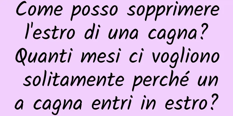 Come posso sopprimere l'estro di una cagna? Quanti mesi ci vogliono solitamente perché una cagna entri in estro?