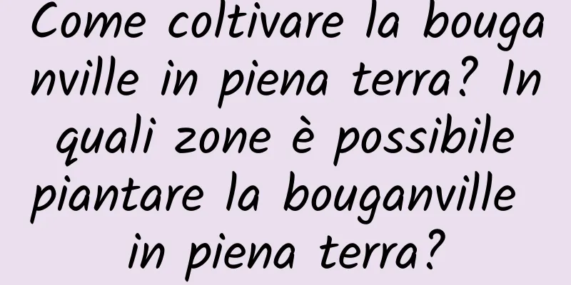 Come coltivare la bouganville in piena terra? In quali zone è possibile piantare la bouganville in piena terra?