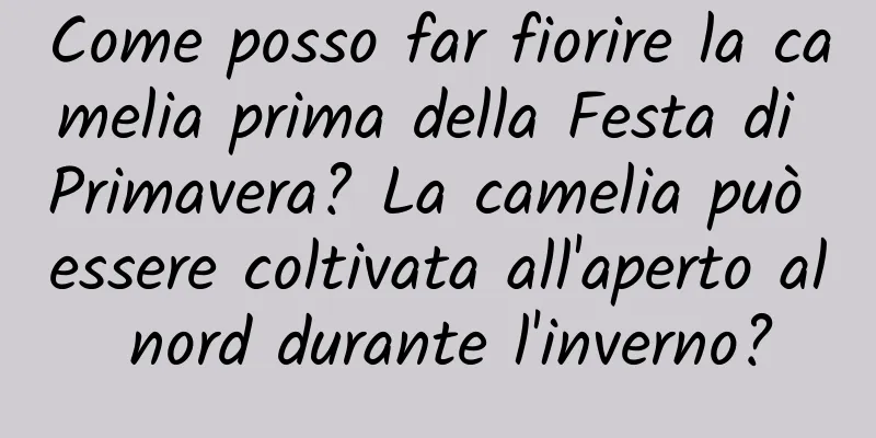 Come posso far fiorire la camelia prima della Festa di Primavera? La camelia può essere coltivata all'aperto al nord durante l'inverno?