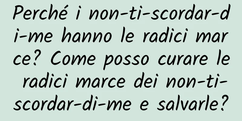 Perché i non-ti-scordar-di-me hanno le radici marce? Come posso curare le radici marce dei non-ti-scordar-di-me e salvarle?