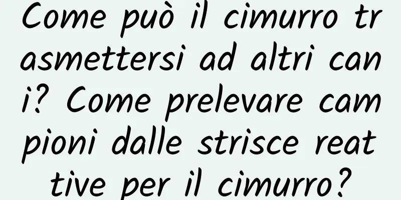 Come può il cimurro trasmettersi ad altri cani? Come prelevare campioni dalle strisce reattive per il cimurro?