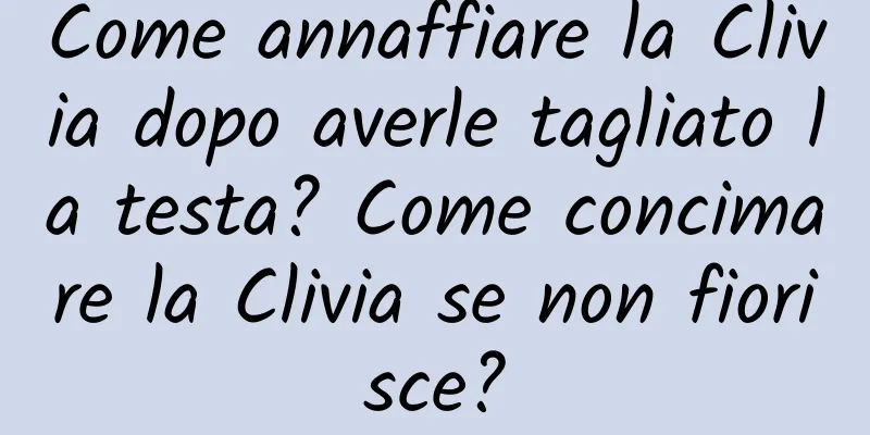 Come annaffiare la Clivia dopo averle tagliato la testa? Come concimare la Clivia se non fiorisce?