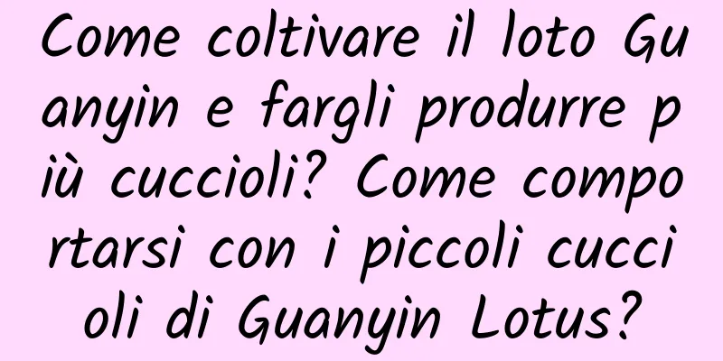 Come coltivare il loto Guanyin e fargli produrre più cuccioli? Come comportarsi con i piccoli cuccioli di Guanyin Lotus?