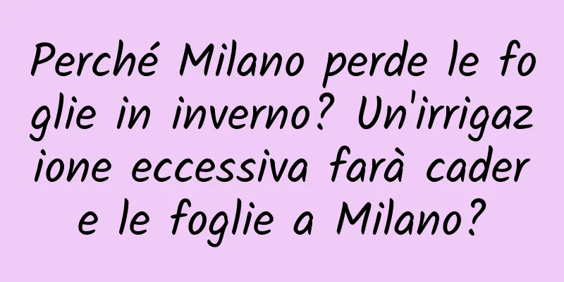 Perché Milano perde le foglie in inverno? Un'irrigazione eccessiva farà cadere le foglie a Milano?