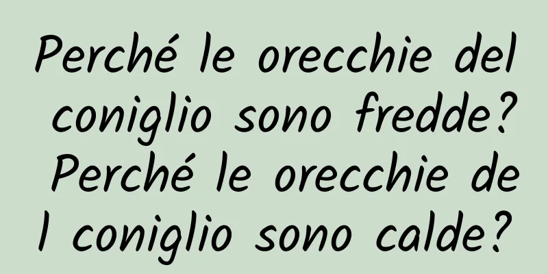 Perché le orecchie del coniglio sono fredde? Perché le orecchie del coniglio sono calde?