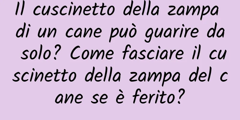 Il cuscinetto della zampa di un cane può guarire da solo? Come fasciare il cuscinetto della zampa del cane se è ferito?