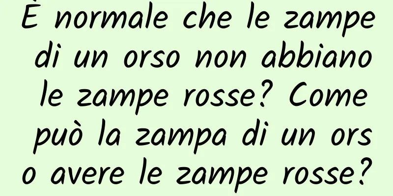 È normale che le zampe di un orso non abbiano le zampe rosse? Come può la zampa di un orso avere le zampe rosse?