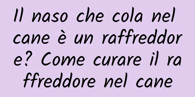 Il naso che cola nel cane è un raffreddore? Come curare il raffreddore nel cane