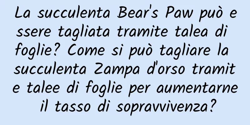 La succulenta Bear's Paw può essere tagliata tramite talea di foglie? Come si può tagliare la succulenta Zampa d'orso tramite talee di foglie per aumentarne il tasso di sopravvivenza?