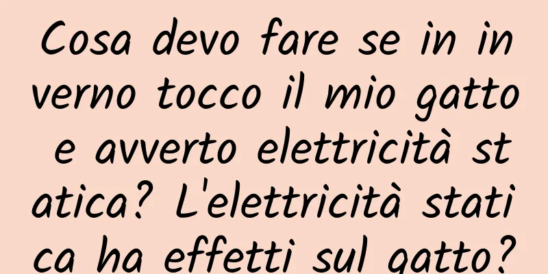 Cosa devo fare se in inverno tocco il mio gatto e avverto elettricità statica? L'elettricità statica ha effetti sul gatto?