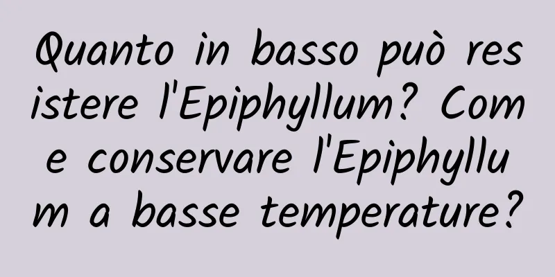 Quanto in basso può resistere l'Epiphyllum? Come conservare l'Epiphyllum a basse temperature?