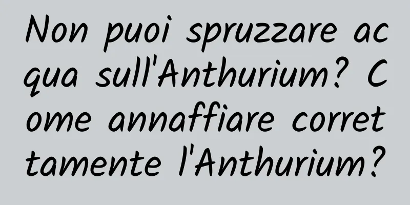 Non puoi spruzzare acqua sull'Anthurium? Come annaffiare correttamente l'Anthurium?