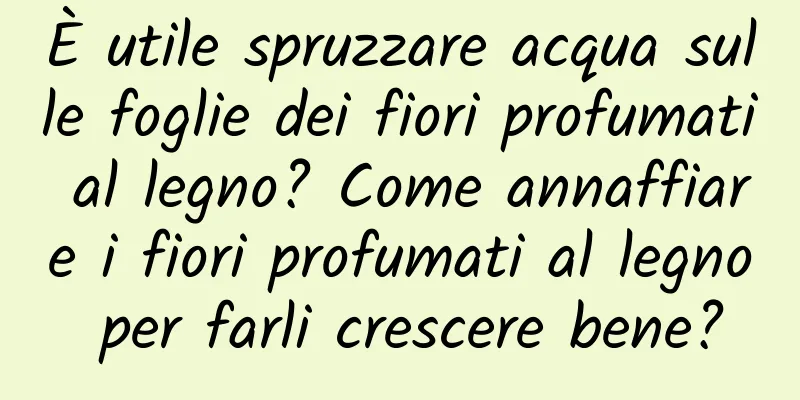 È utile spruzzare acqua sulle foglie dei fiori profumati al legno? Come annaffiare i fiori profumati al legno per farli crescere bene?