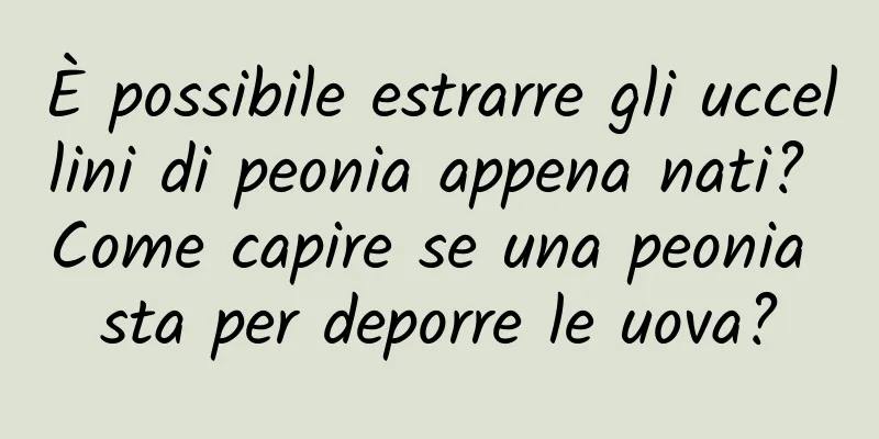È possibile estrarre gli uccellini di peonia appena nati? Come capire se una peonia sta per deporre le uova?