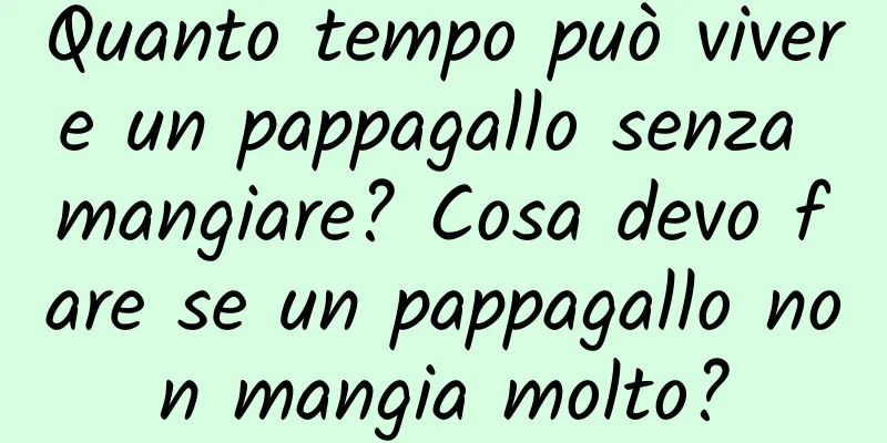 Quanto tempo può vivere un pappagallo senza mangiare? Cosa devo fare se un pappagallo non mangia molto?