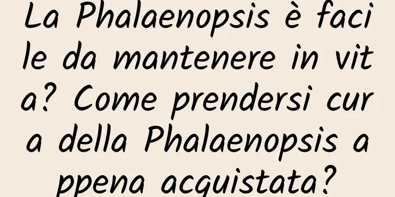 La Phalaenopsis è facile da mantenere in vita? Come prendersi cura della Phalaenopsis appena acquistata?