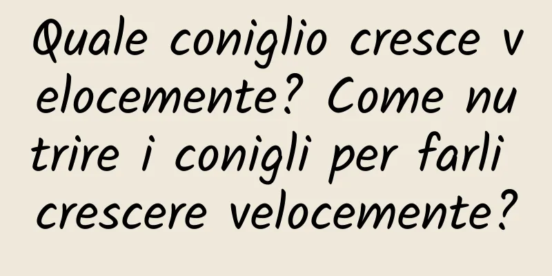 Quale coniglio cresce velocemente? Come nutrire i conigli per farli crescere velocemente?
