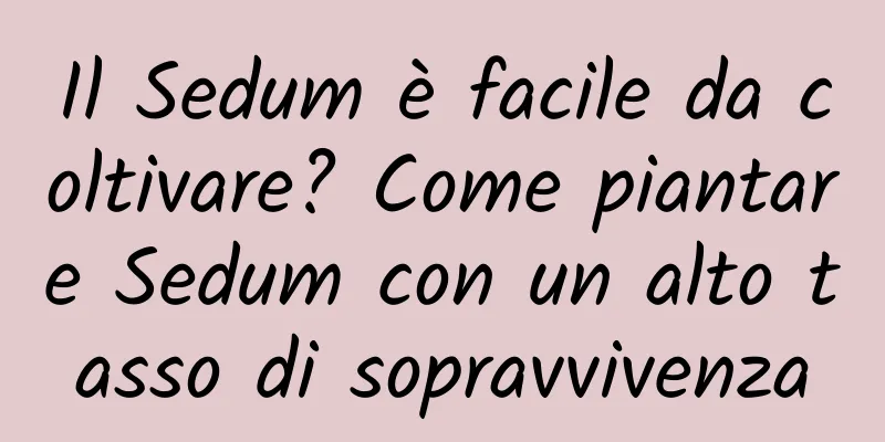Il Sedum è facile da coltivare? Come piantare Sedum con un alto tasso di sopravvivenza