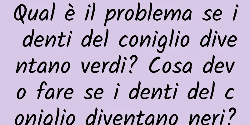 Qual è il problema se i denti del coniglio diventano verdi? Cosa devo fare se i denti del coniglio diventano neri?