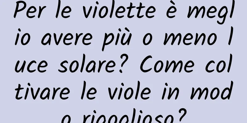 Per le violette è meglio avere più o meno luce solare? Come coltivare le viole in modo rigoglioso?