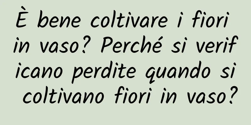 È bene coltivare i fiori in vaso? Perché si verificano perdite quando si coltivano fiori in vaso?