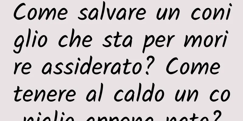 Come salvare un coniglio che sta per morire assiderato? Come tenere al caldo un coniglio appena nato?