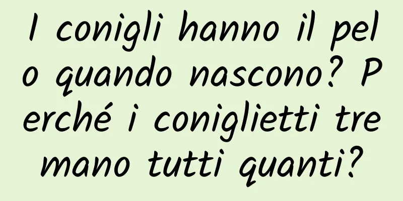 I conigli hanno il pelo quando nascono? Perché i coniglietti tremano tutti quanti?