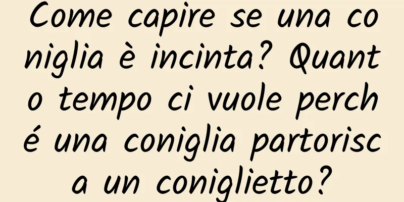 Come capire se una coniglia è incinta? Quanto tempo ci vuole perché una coniglia partorisca un coniglietto?