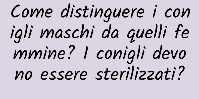 Come distinguere i conigli maschi da quelli femmine? I conigli devono essere sterilizzati?
