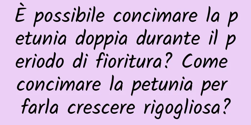 È possibile concimare la petunia doppia durante il periodo di fioritura? Come concimare la petunia per farla crescere rigogliosa?