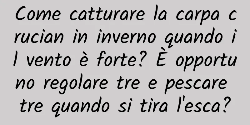 Come catturare la carpa crucian in inverno quando il vento è forte? È opportuno regolare tre e pescare tre quando si tira l'esca?