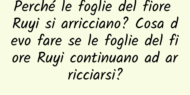 Perché le foglie del fiore Ruyi si arricciano? Cosa devo fare se le foglie del fiore Ruyi continuano ad arricciarsi?