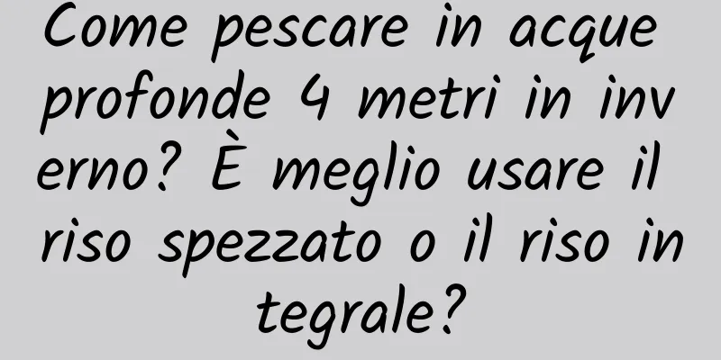 Come pescare in acque profonde 4 metri in inverno? È meglio usare il riso spezzato o il riso integrale?