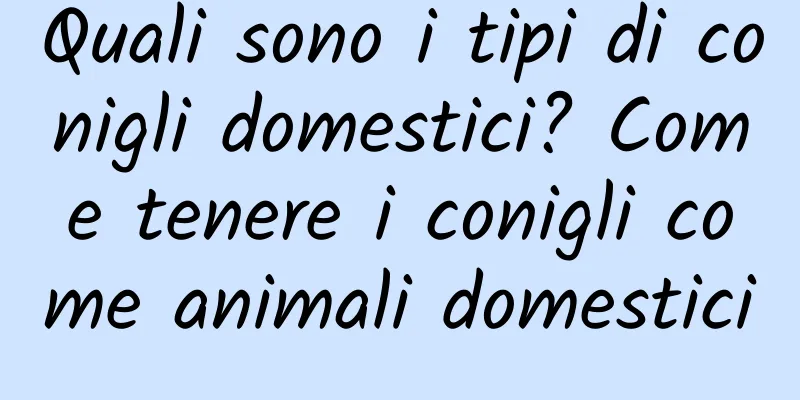 Quali sono i tipi di conigli domestici? Come tenere i conigli come animali domestici