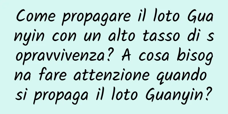 Come propagare il loto Guanyin con un alto tasso di sopravvivenza? A cosa bisogna fare attenzione quando si propaga il loto Guanyin?