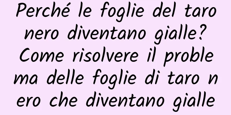 Perché le foglie del taro nero diventano gialle? Come risolvere il problema delle foglie di taro nero che diventano gialle