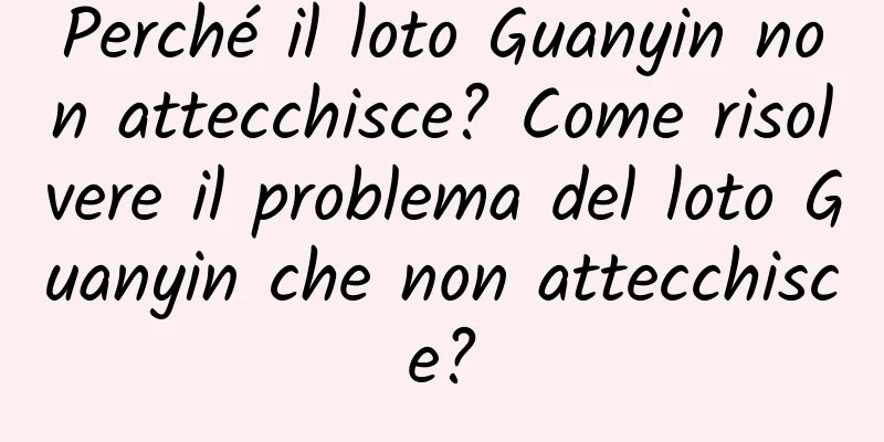 Perché il loto Guanyin non attecchisce? Come risolvere il problema del loto Guanyin che non attecchisce?