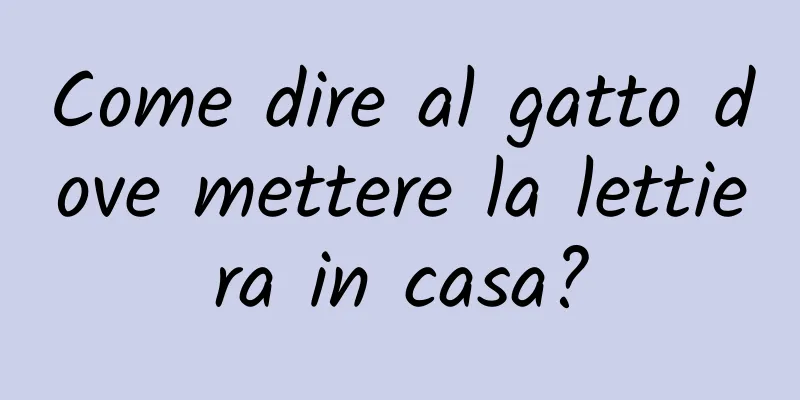 Come dire al gatto dove mettere la lettiera in casa?