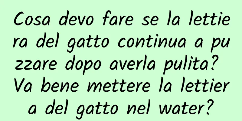 Cosa devo fare se la lettiera del gatto continua a puzzare dopo averla pulita? Va bene mettere la lettiera del gatto nel water?
