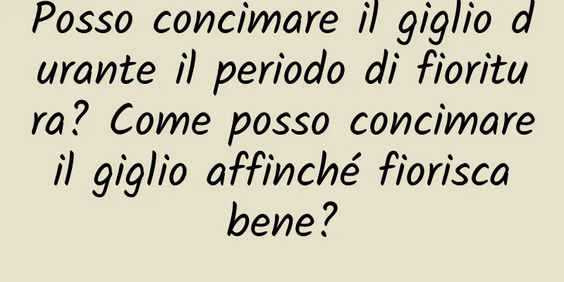 Posso concimare il giglio durante il periodo di fioritura? Come posso concimare il giglio affinché fiorisca bene?