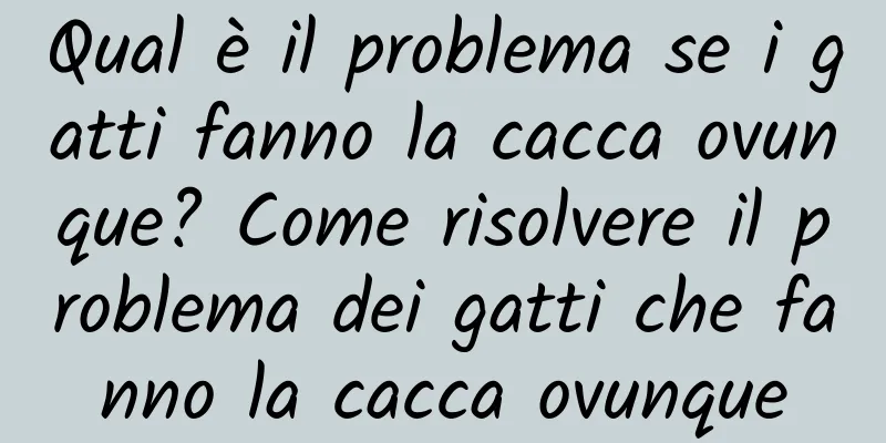 Qual è il problema se i gatti fanno la cacca ovunque? Come risolvere il problema dei gatti che fanno la cacca ovunque