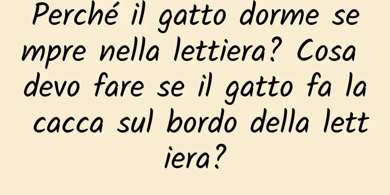 Perché il gatto dorme sempre nella lettiera? Cosa devo fare se il gatto fa la cacca sul bordo della lettiera?