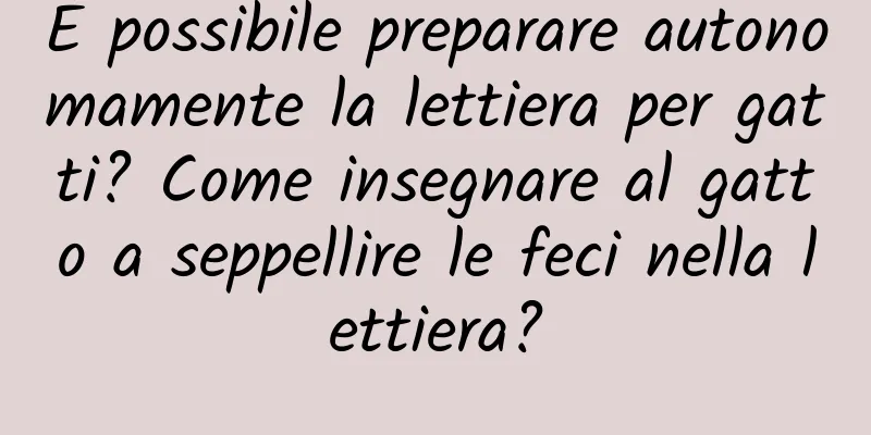 È possibile preparare autonomamente la lettiera per gatti? Come insegnare al gatto a seppellire le feci nella lettiera?