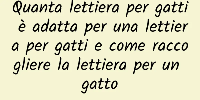 Quanta lettiera per gatti è adatta per una lettiera per gatti e come raccogliere la lettiera per un gatto