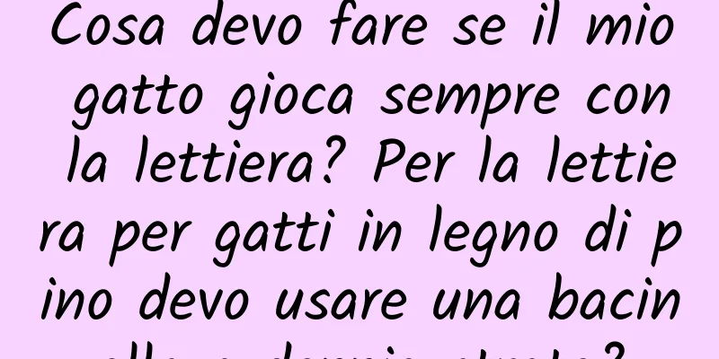 Cosa devo fare se il mio gatto gioca sempre con la lettiera? Per la lettiera per gatti in legno di pino devo usare una bacinella a doppio strato?