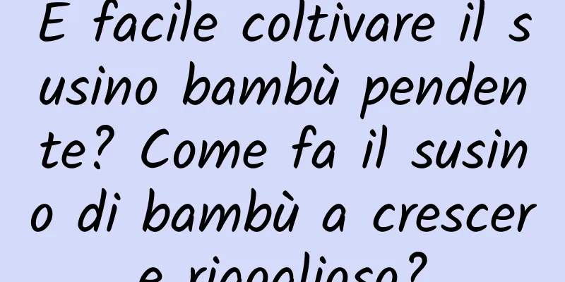 È facile coltivare il susino bambù pendente? Come fa il susino di bambù a crescere rigoglioso?