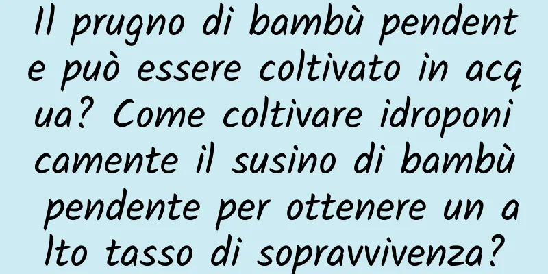 Il prugno di bambù pendente può essere coltivato in acqua? Come coltivare idroponicamente il susino di bambù pendente per ottenere un alto tasso di sopravvivenza?