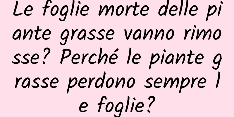 Le foglie morte delle piante grasse vanno rimosse? Perché le piante grasse perdono sempre le foglie?