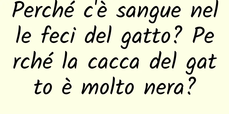 Perché c'è sangue nelle feci del gatto? Perché la cacca del gatto è molto nera?